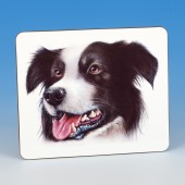 8311 Placemat-MARK CHARLES-COLOURED COLLIE